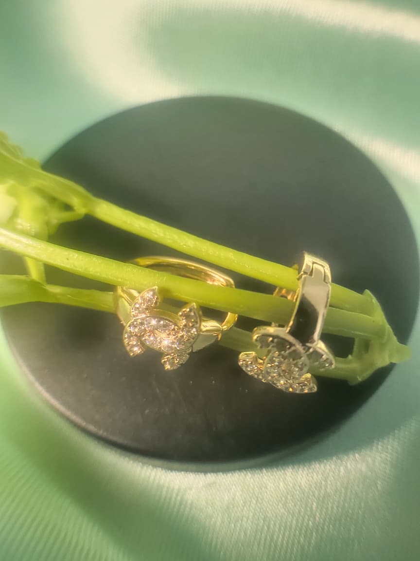 ANTI TARNISH EARINGS